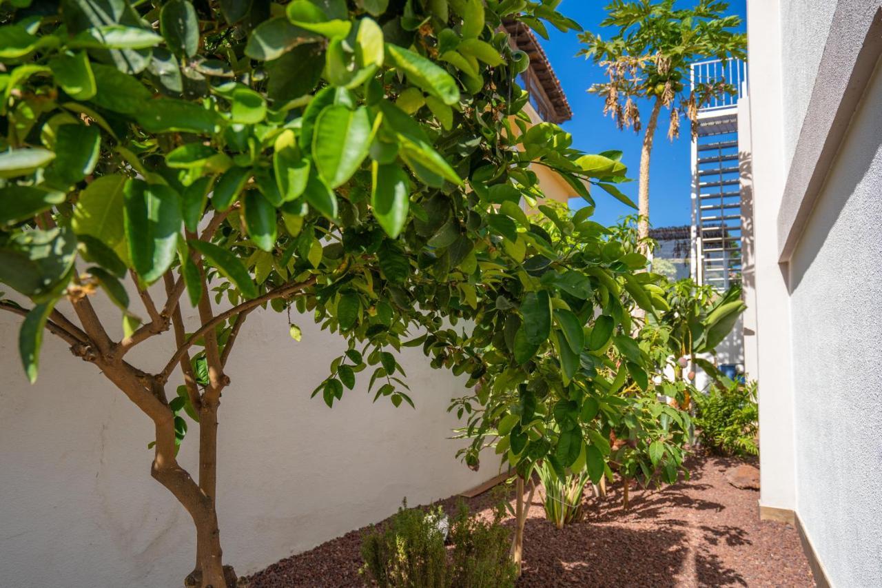 Villa La Laja With 5 Bedrooms And Sea View 卡亚俄萨尔瓦赫 外观 照片